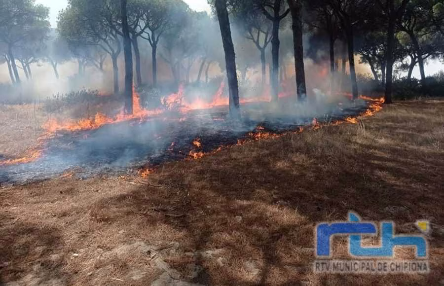 La Junta prohíbe el uso del fuego en los espacios forestales y de influencia forestal de Andalucía hasta el 15 de octubre