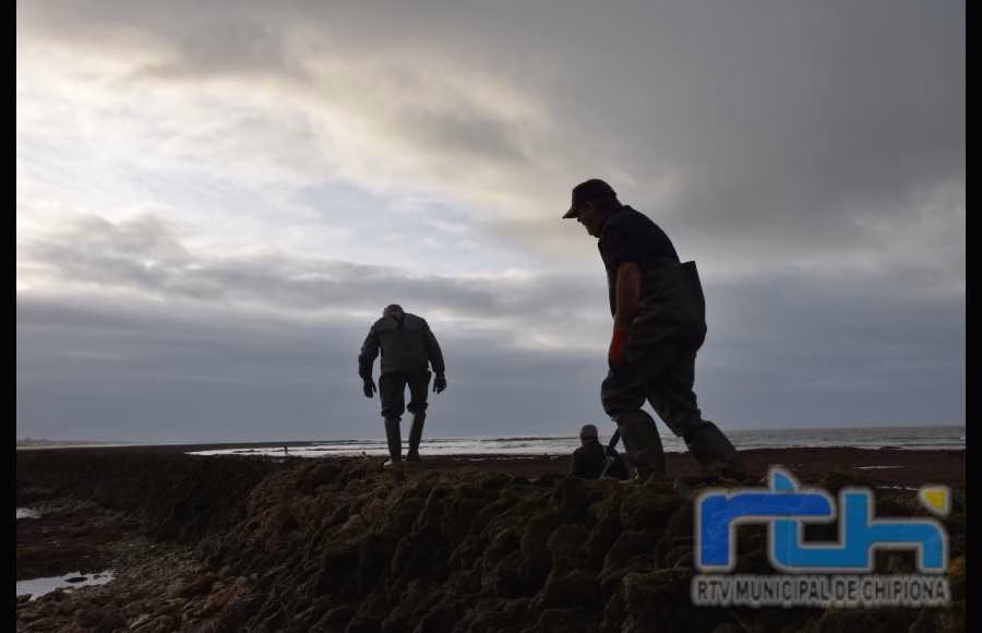Publicado un bando para proteger los corrales de pesca de Chipiona