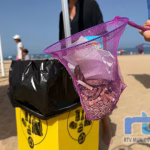 El programa veraniego en las playas de Chipiona ha lanzado hoy otra llamada a la concienciación con la actividad ‘Orillas sin colillas’
