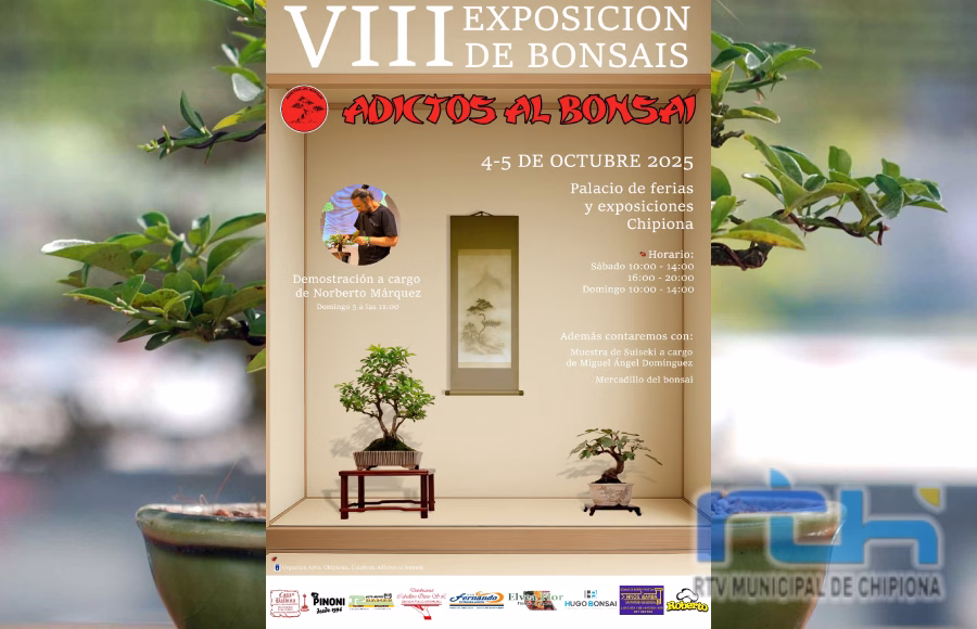 El 4 y el 5 de octubre fecha para la muestra ‘Adictos al bonsai’ de este año en Chipiona