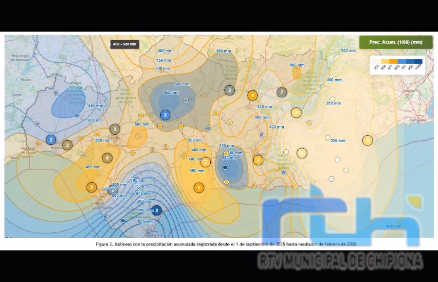 La Junta de Andalucía publica siete guías de recomendaciones para los cultivos tras las inundaciones y episodios de lluvias extremas