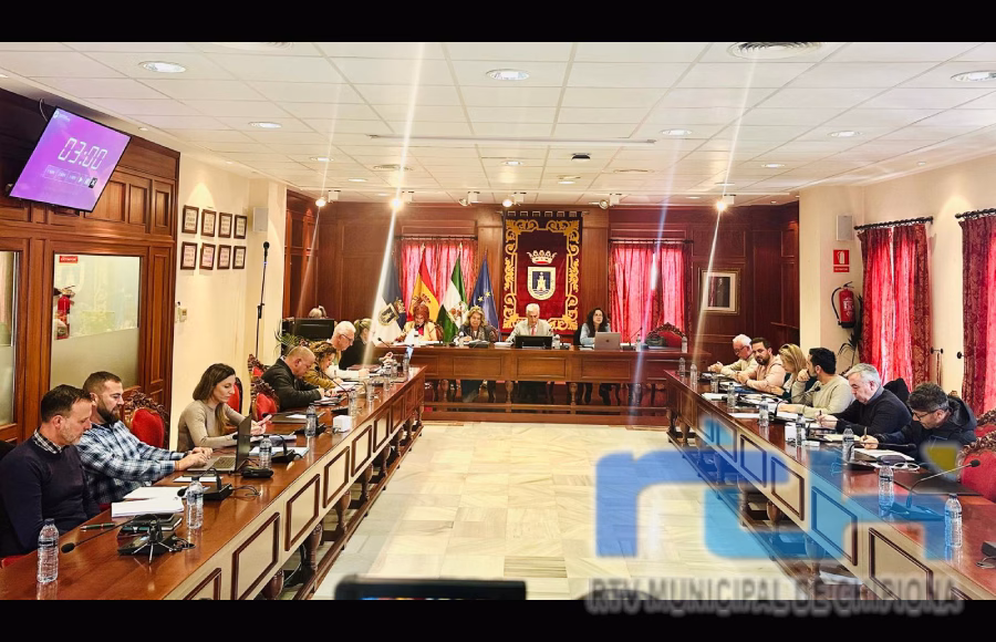 El Pleno Municipal aprueba la declaración de zona catastrófica por los numerosos daños producidos por las últimas borrascas