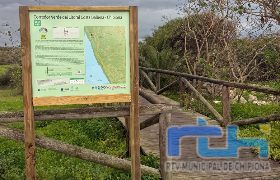 El Corredor Verde de Costa Ballena Chipiona recibe este año por primera vez el galardón Sendero Azul