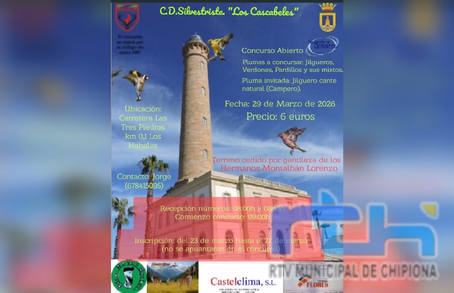 El Club Deportivo Silvestrista Los Cascabeles organiza para el próximo domingo en Chipiona un concurso abierto de aves canoras