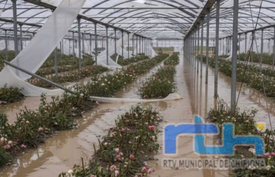 COAG Andalucía exige al Ministerio aclarar de forma urgente cómo calcular los daños para acceder a las ayudas por las borrascas