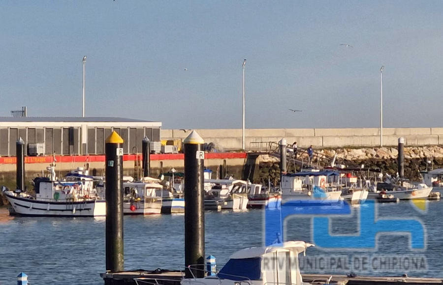 El sector pesquero reclama al Gobierno medidas urgentes ante el inminente amarre de la flota