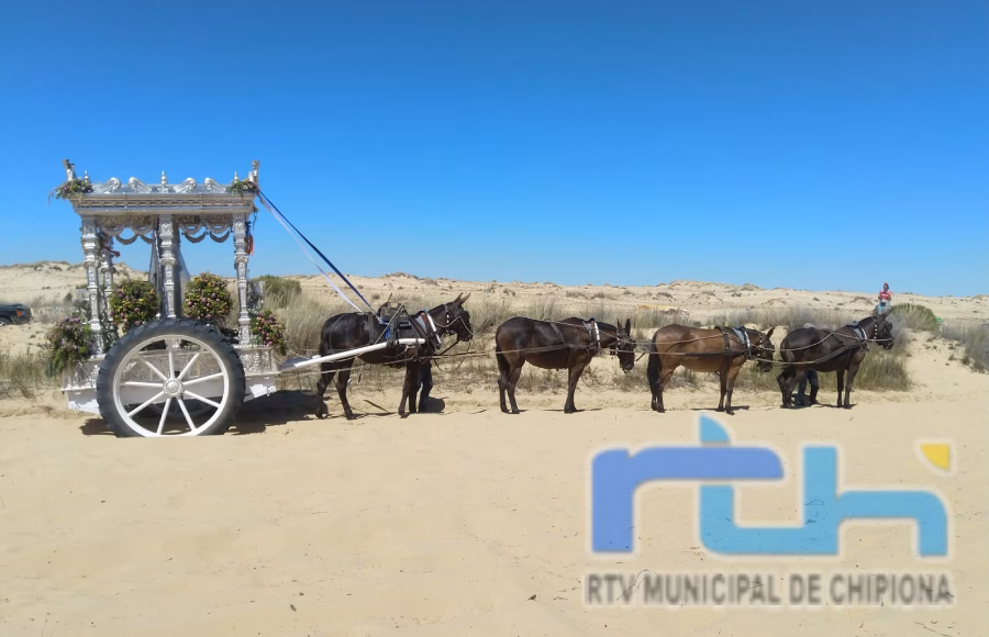 La Hermandad de Chipiona participa en la reunión preparatoria del Plan Rocío Seguro 2026