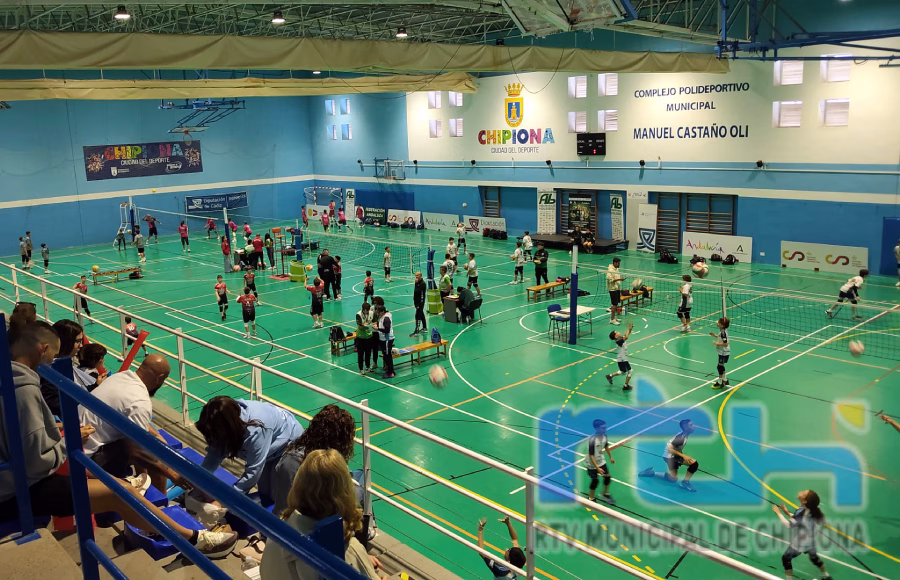 Casi doscientos deportistas compiten desde hoy en el Campeonato de Andalucía de Clubes de Voleibol Alevín que se disputa en Chipiona