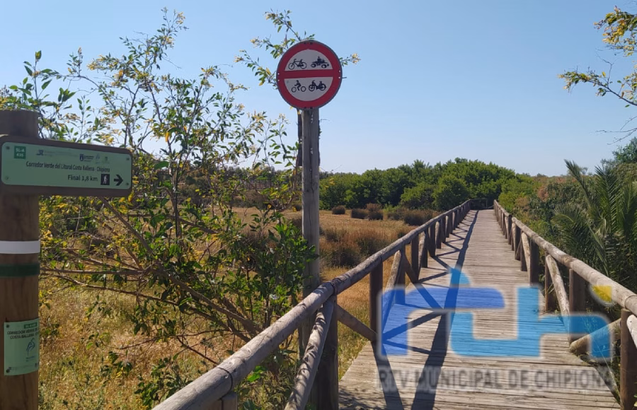 El Corredor Verde del Litoral se incluirá dentro del programa Cádiz Marcha + 2026 para su mejora y puesta a punto