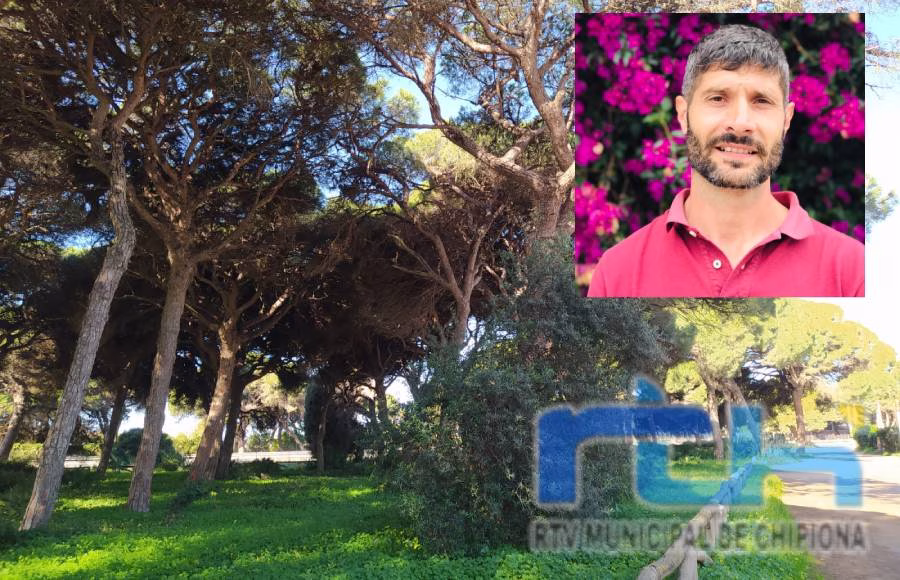 Tano Guzmán: La Romería del Pinar debe ser un ejemplo de respeto a nuestro entorno natural