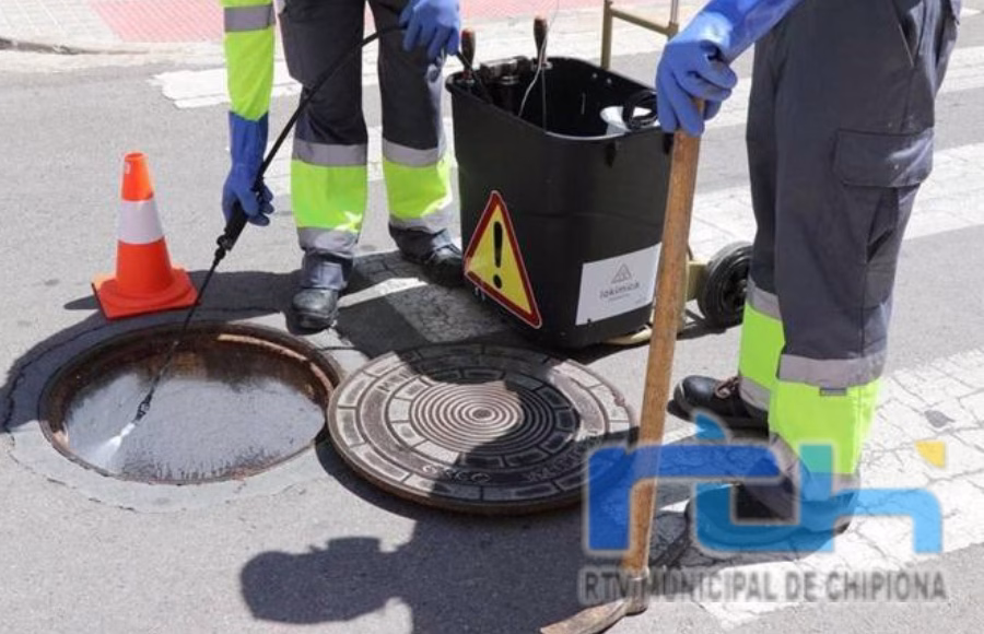 Intensifican las actuaciones contra cucarachas, ratas y el mosquito del Nilo en Chipiona