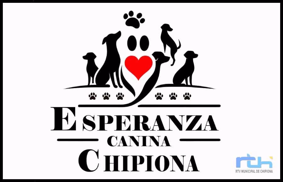 Esperanza Canina hace un nuevo llamamiento a la colaboración ciudadana ante la falta de pienso para los perros de su refugio