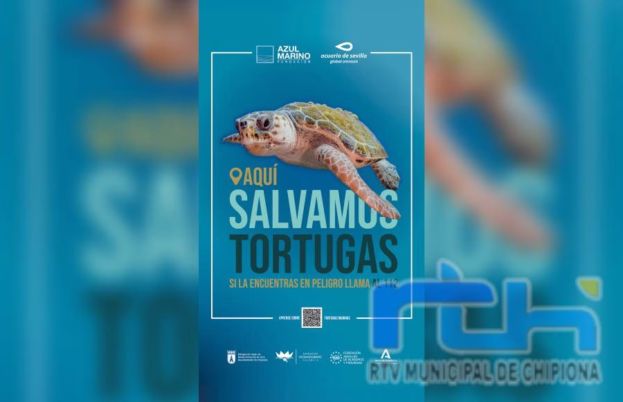 En Chipiona salvamos tortugas marinas
