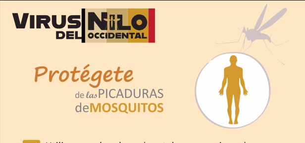 El Ayuntamiento de Chipiona refuerza la vigilancia y el control del Virus del Nilo Occidental con financiación de Diputación de Cádiz