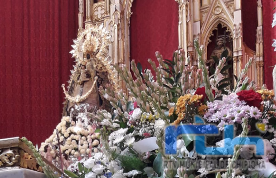 61 colectivos y empresas inscritos para participar mañana sábado en la ofrenda floral a la Virgen de Regla