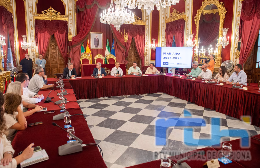 Diputación diseña un plan para la modernización digital de ayuntamientos gaditanos de menos de 25.000 habitantes